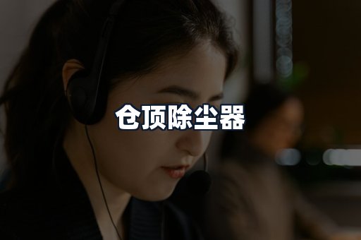 仓顶除尘器